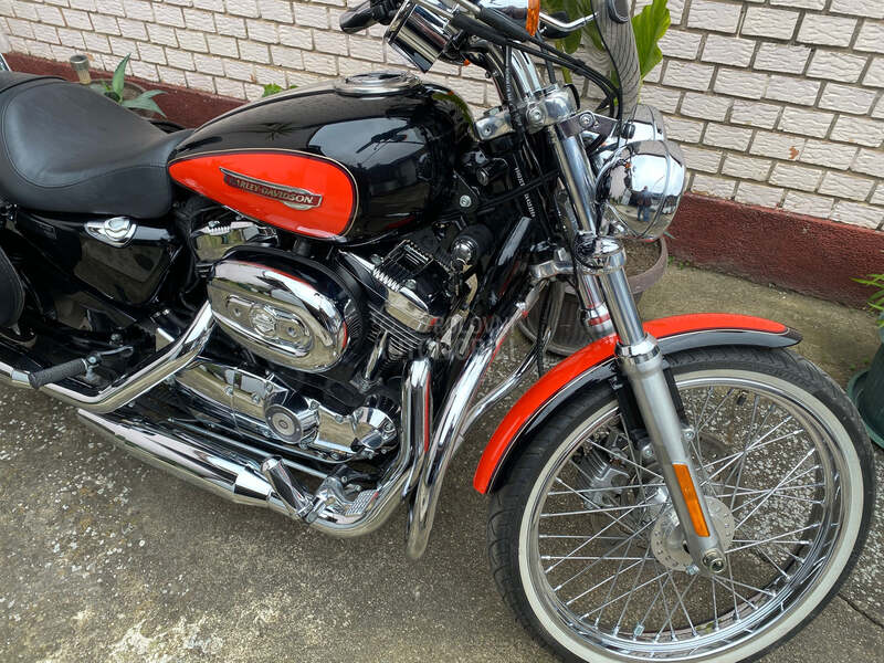 Harley Davidson sportster xl1200c 105