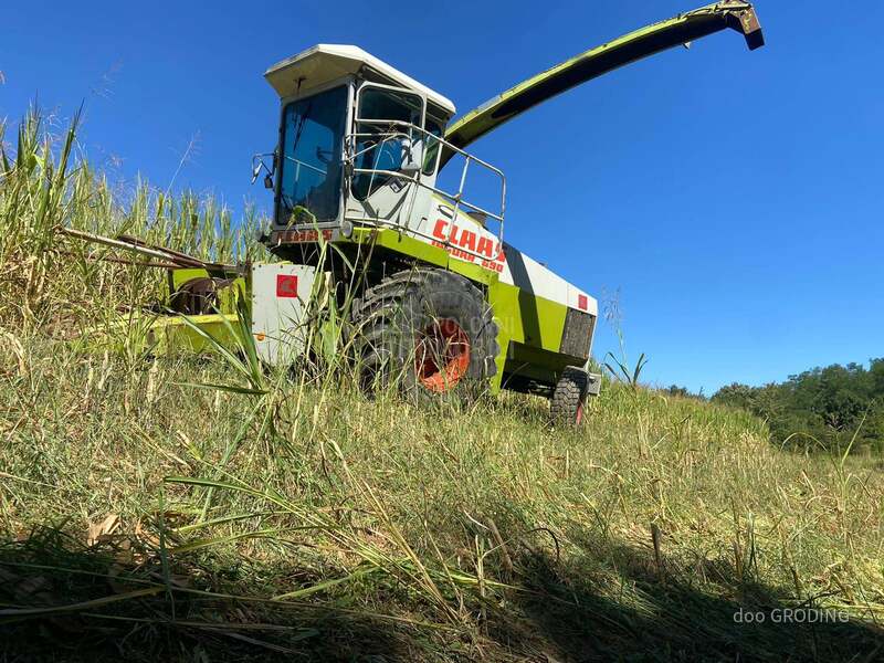 Claas Jaguar 690