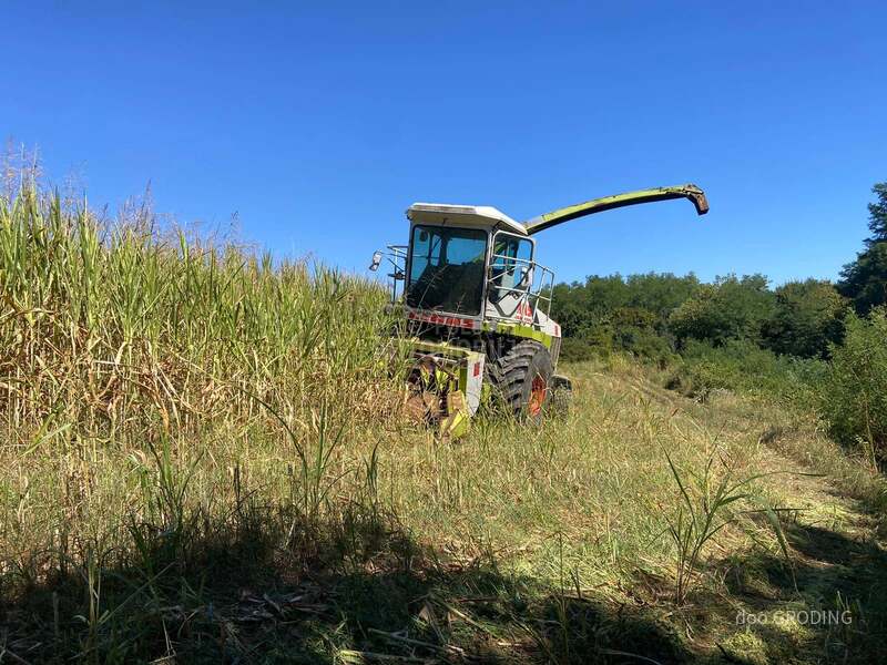 Claas Jaguar 690