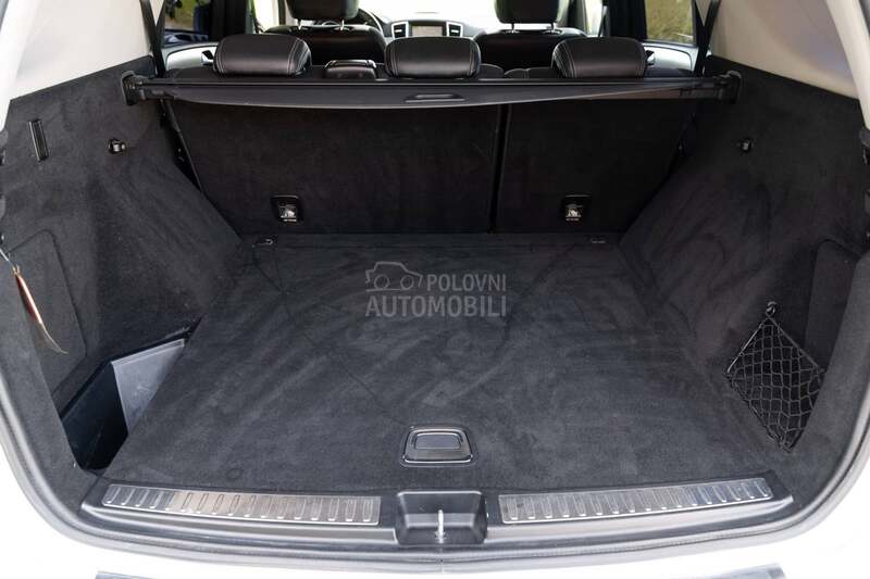Mercedes Benz ML 250 