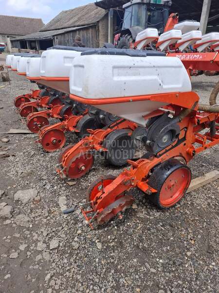 Kuhn maxima