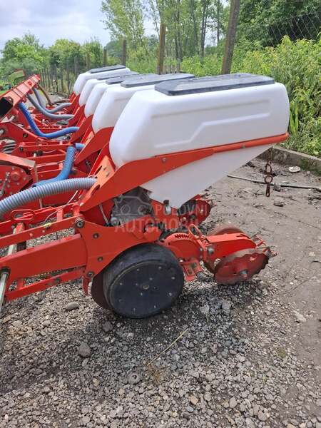 Kuhn maxima