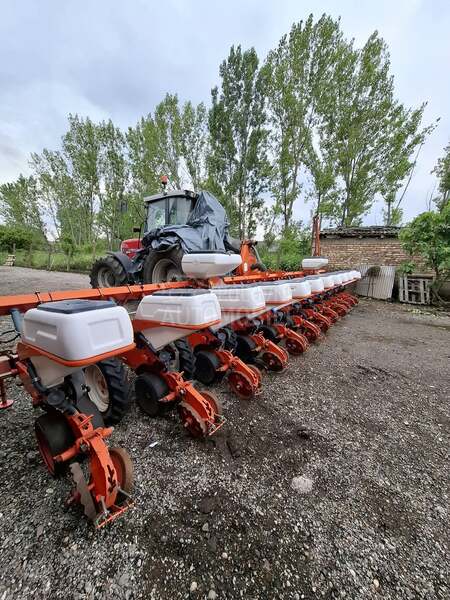Kuhn maxima