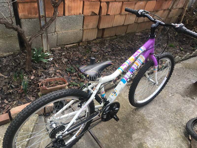 Polar Geronimo 240 Belo Ljub