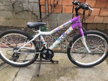 Polar Geronimo 240 Belo Ljub