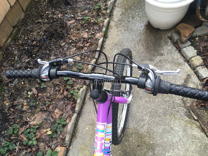 Polar Geronimo 240 Belo Ljub