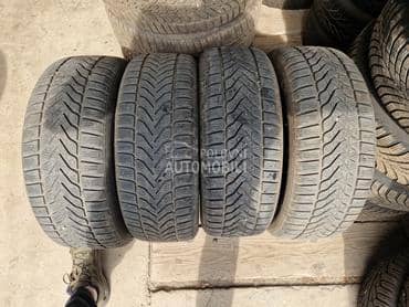 Lassa 205/55 R17 Zimska