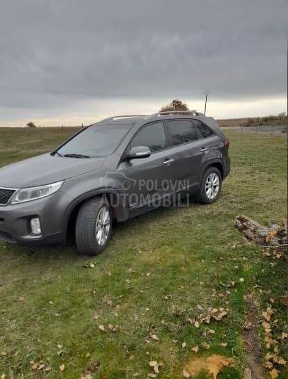 Donja zaštita (šuspleh) i potk