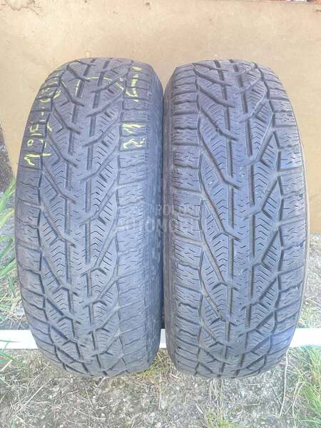 Tigar 195/65 R15 Zimska