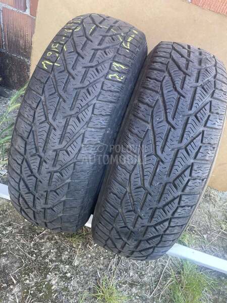 Tigar 195/65 R15 Zimska