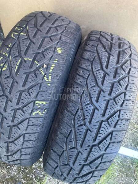 Tigar 195/65 R15 Zimska