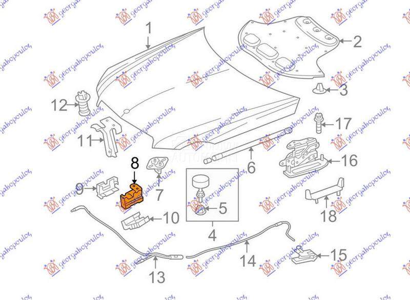 BRAVA HAUBE NA VEZNOM LIMU DON