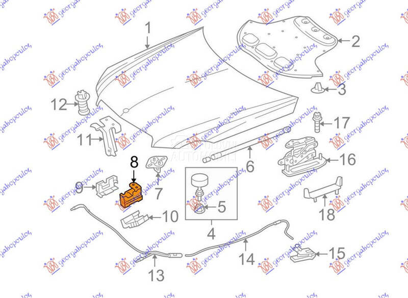 BRAVA HAUBE NA VEZNOM LIMU DON