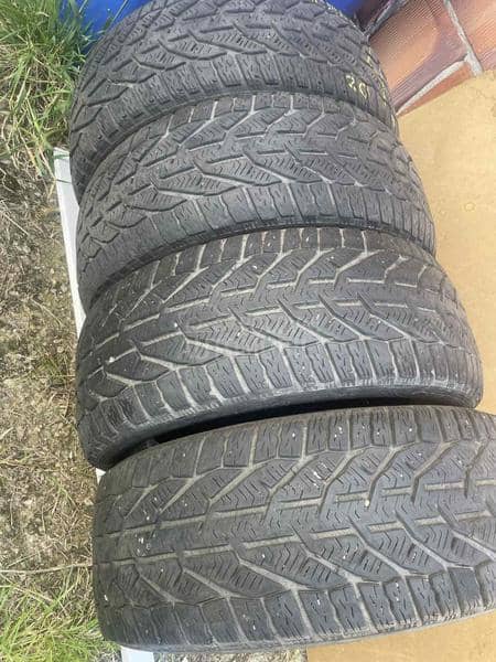 Riken 195/50 R15 Zimska
