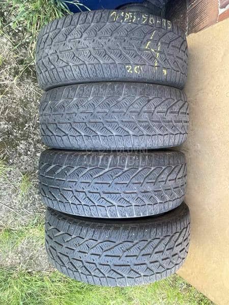 Riken 195/50 R15 Zimska