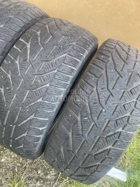 Riken 195/50 R15 Zimska