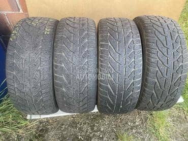 Riken 195/50 R15 Zimska