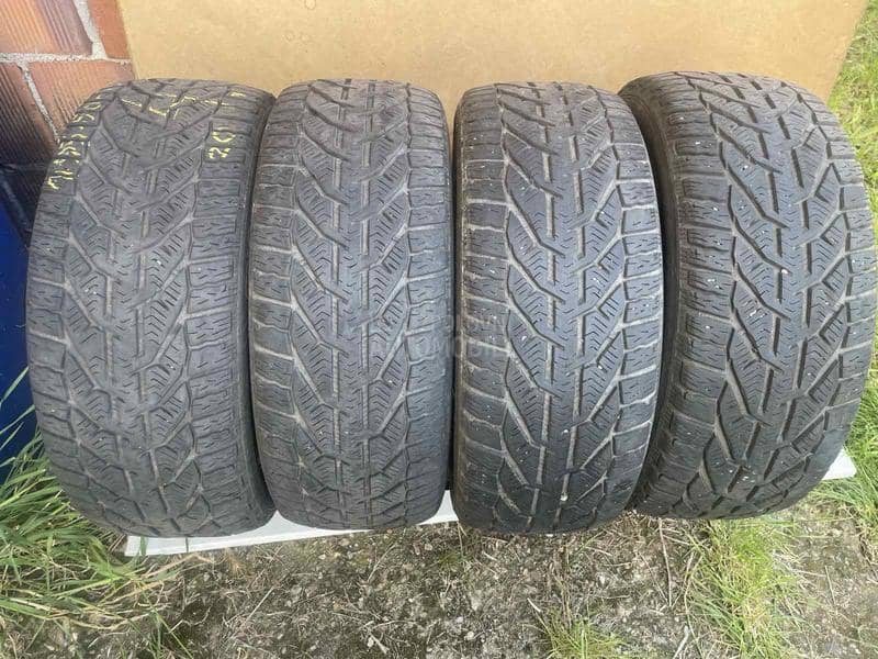 Riken 195/50 R15 Zimska