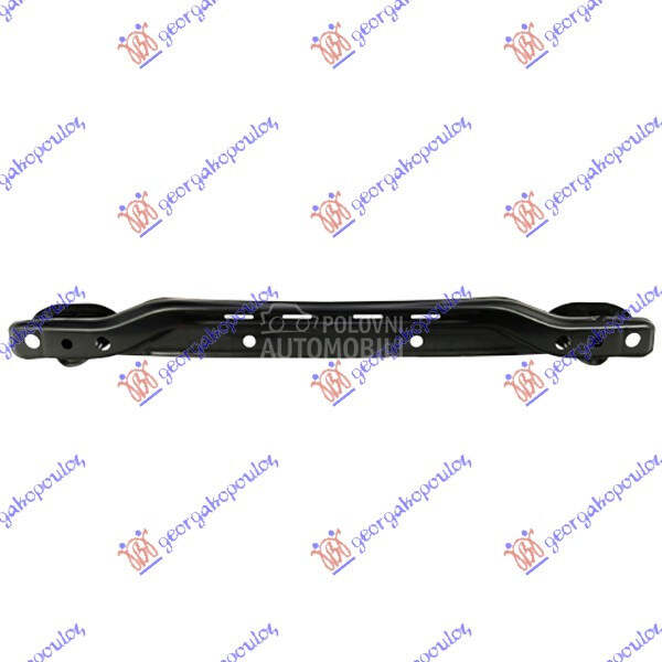 SINA ZADNJEG BRANIKA