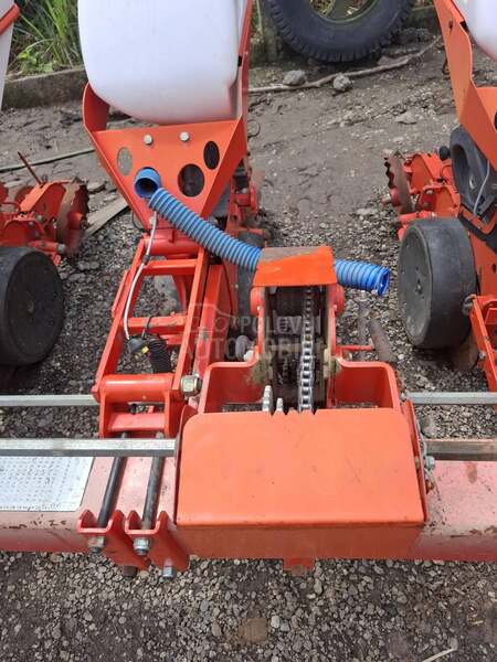 Kuhn maxima