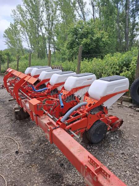 Kuhn maxima