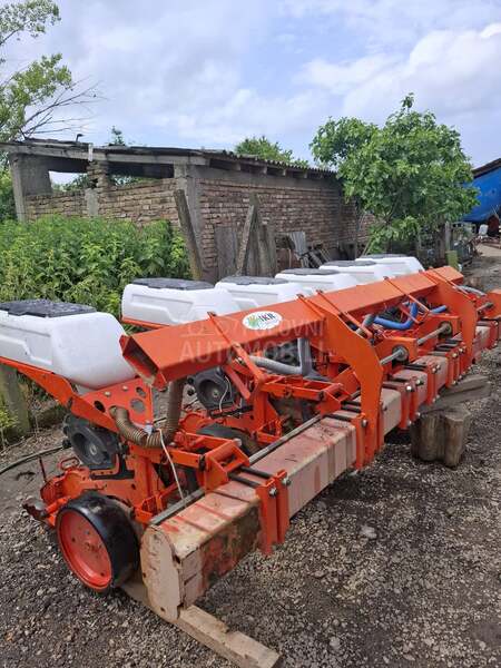 Kuhn maxima