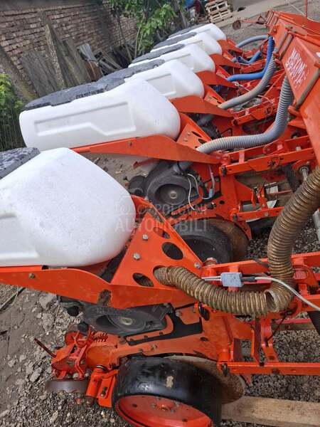 Kuhn maxima
