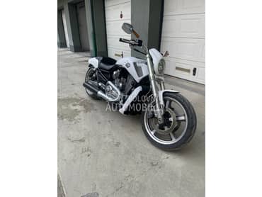 Harley Davidson V Rod Muscle