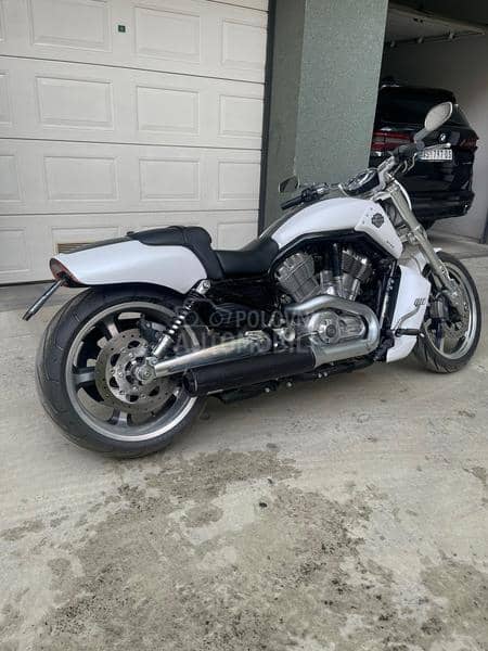 Harley Davidson V Rod Muscle