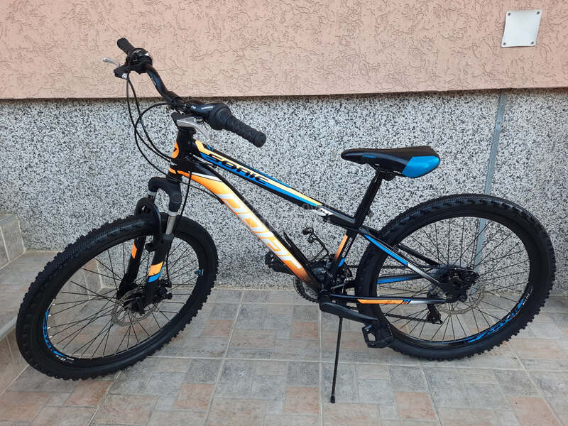 Polar Sonic 24