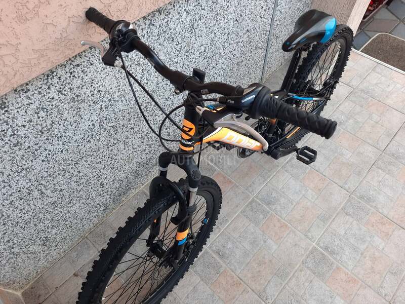 Polar Sonic 24