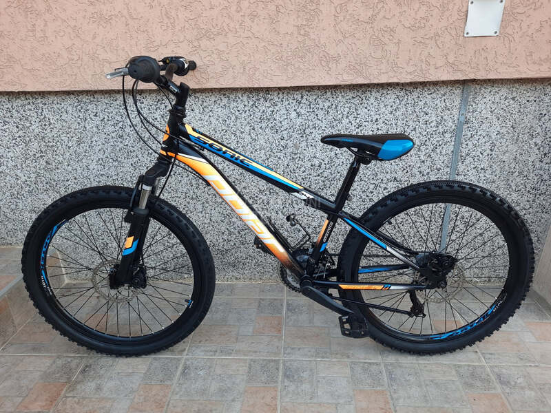 Polar Sonic 24