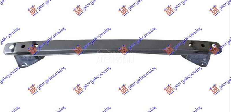 SINA ZADNJEG BRANIKA