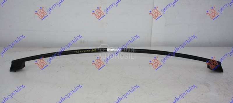 SINA PREDNJEG BRANIKA DONJA