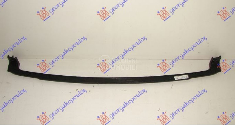 SINA PREDNJEG BRANIKA DONJA (O