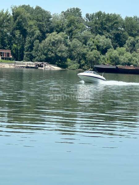 Bayliner 602 cuddy
