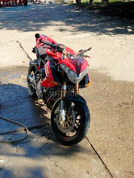Benelli Tnt