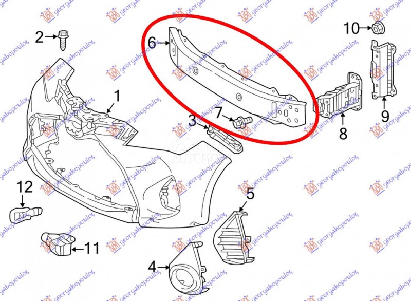 SINA PREDNJEG BRANIKA