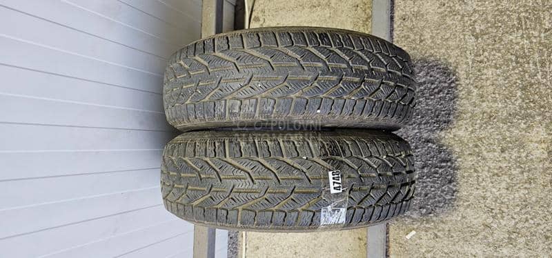 Riken 185/65 R15 Zimska