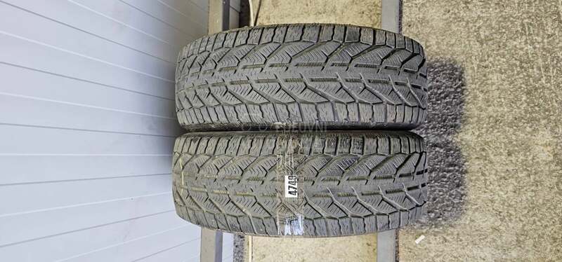 Riken 195/55 R16 Zimska