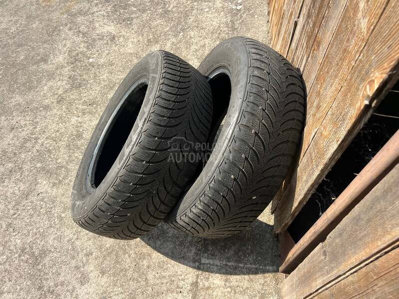 Nexen 195/65 R15 Sve sezone