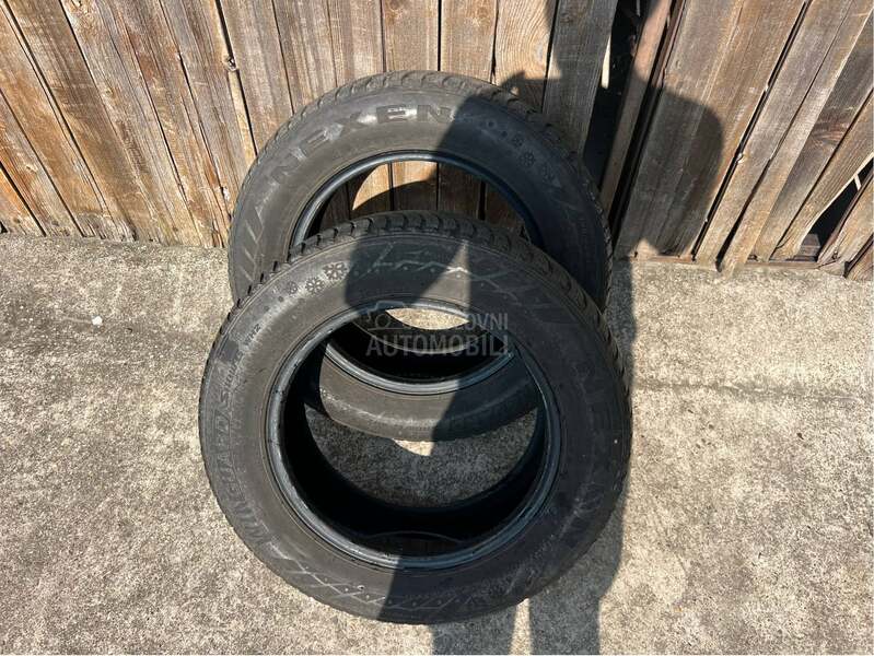 Nexen 195/65 R15 Sve sezone