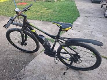 Focus Sarifa bosch 29