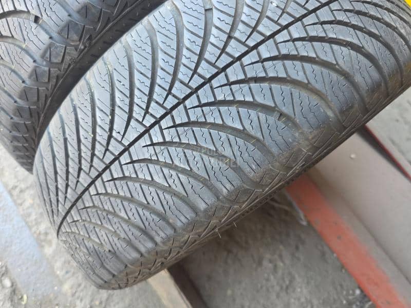 Goodyear 195/65 R15 Sve sezone