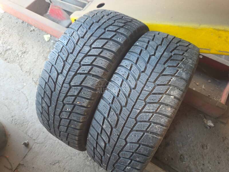 Michelin 215/55 R16 Sve sezone