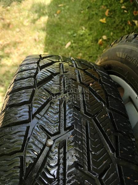 Riken 205/55 R17 Zimska