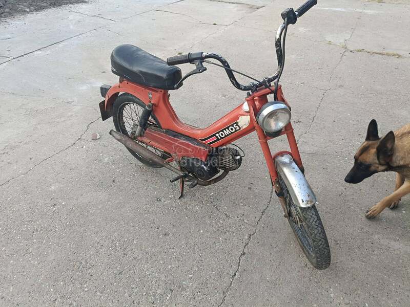 Tomos automatik