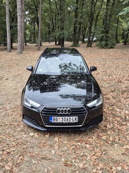 Audi A4 NOV