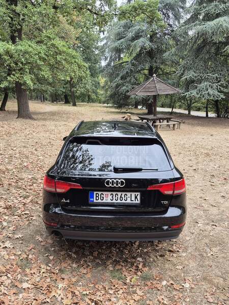 Audi A4 NOV