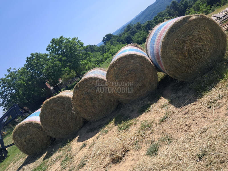 Krone 1213